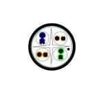 کابل شبکه ولوسیتی مدل V631203